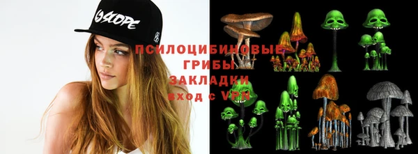 дживик Усинск