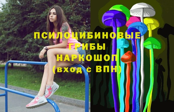 стафф Няндома