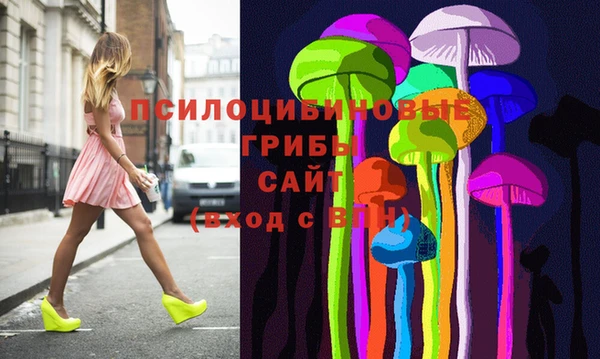 прущие грибы Нязепетровск
