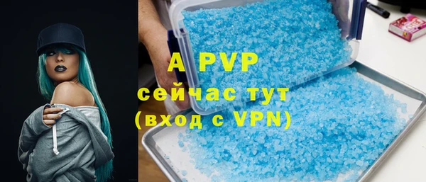 прущие грибы Нязепетровск