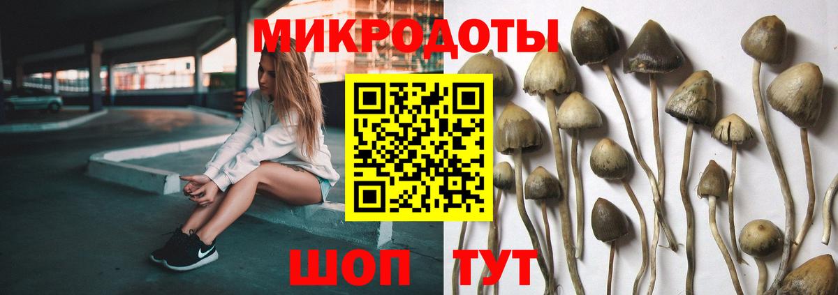 Галлюциногенные грибы мицелий Тихорецк