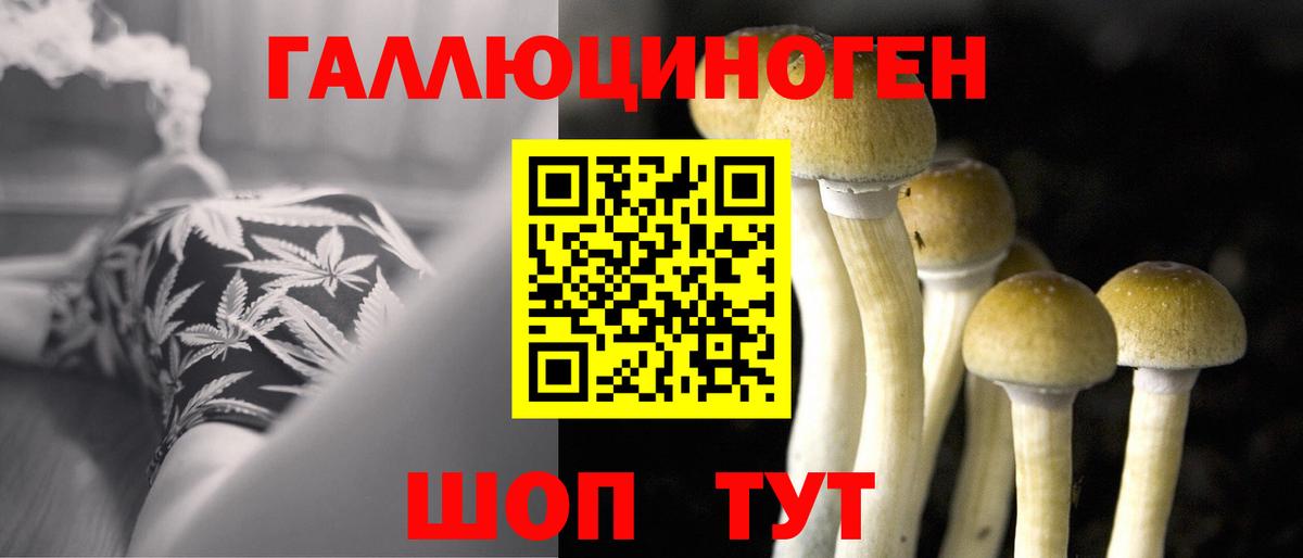 Тихорецк  Галлюциногенные грибы мухоморы  Вход с VPN 