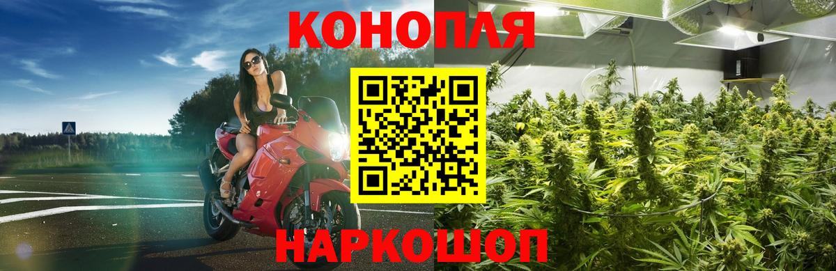 Бошки Шишки план  Каннабис OG Kush  Тихорецк  Вход с VPN  Бошки марихуана Ganja 